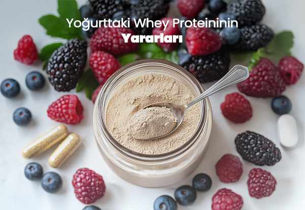 Whey Proteini